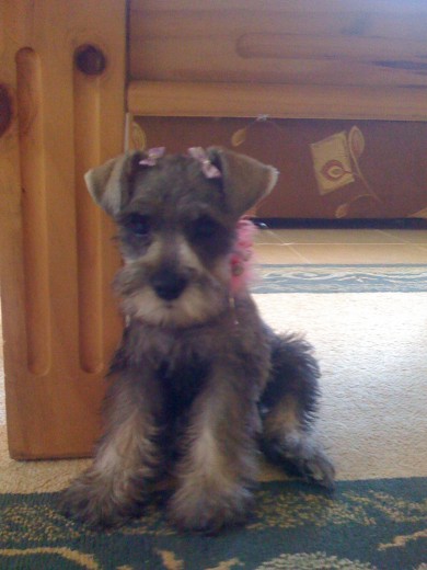 Hannah con 4 mese Hannah con 4 mese
